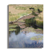 100400ef-3c7d-45d6-b882-02377953e938