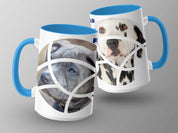 1073c634-6449-4d6d-895d-e879cd39df75