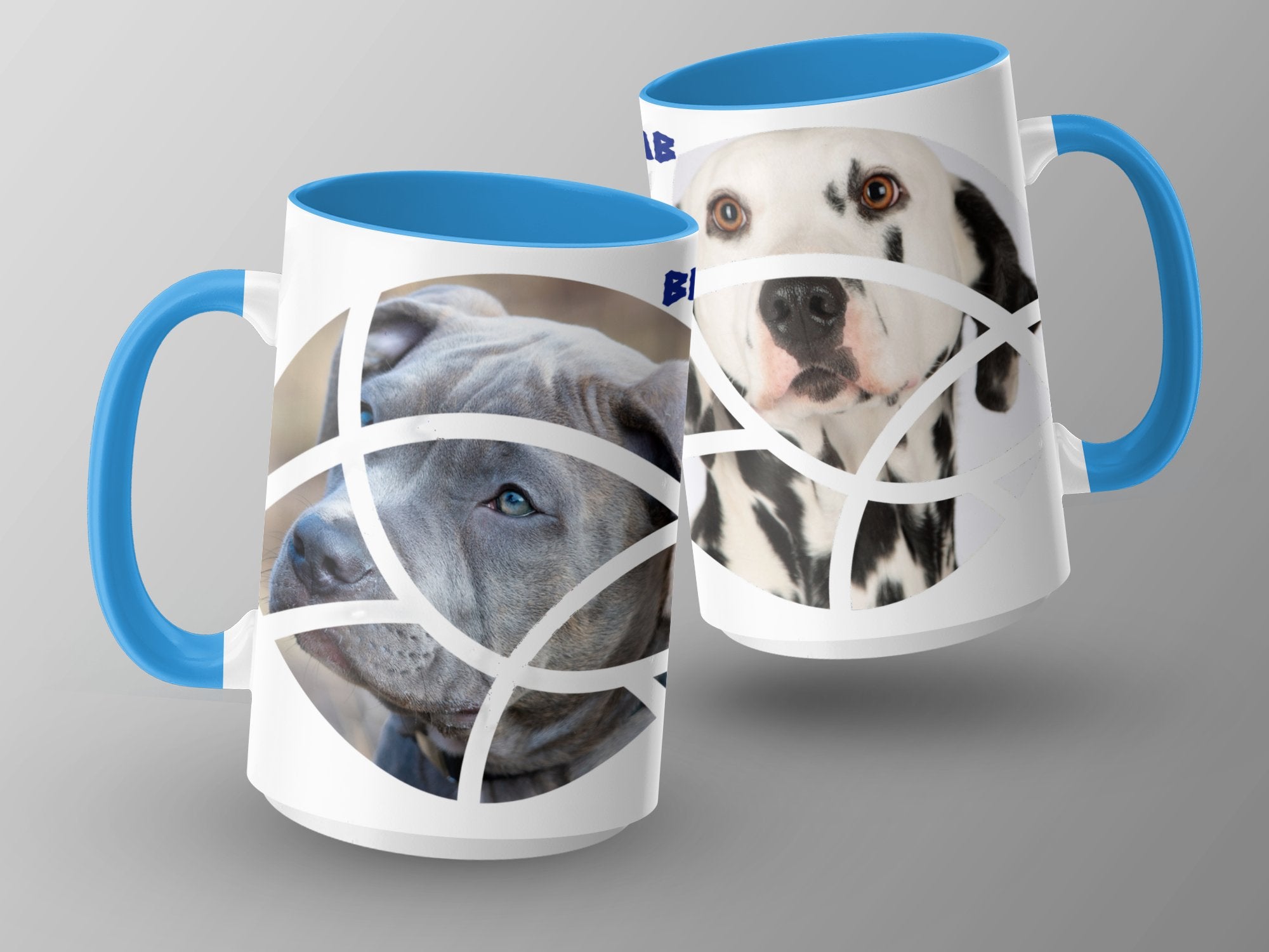 1073c634-6449-4d6d-895d-e879cd39df75