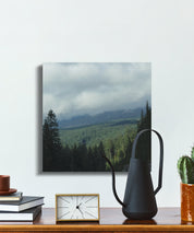 1074f514-d4b5-4b3d-8d79-5c8b10517e96