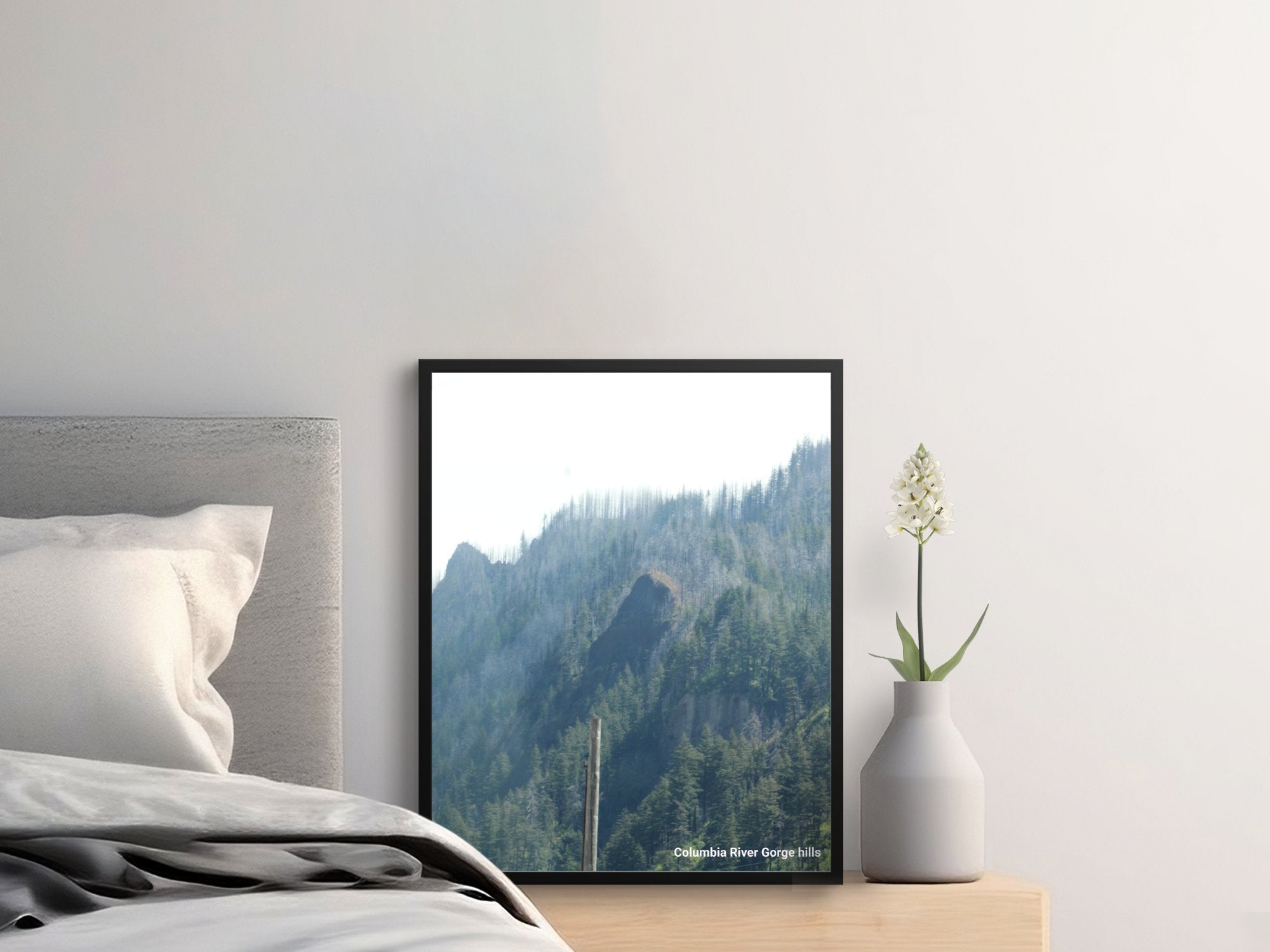 10895a2f-067f-4105-9f4d-a3332b48b60c