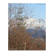 10b6fe1f-a520-434b-a160-bbf28bf4a962