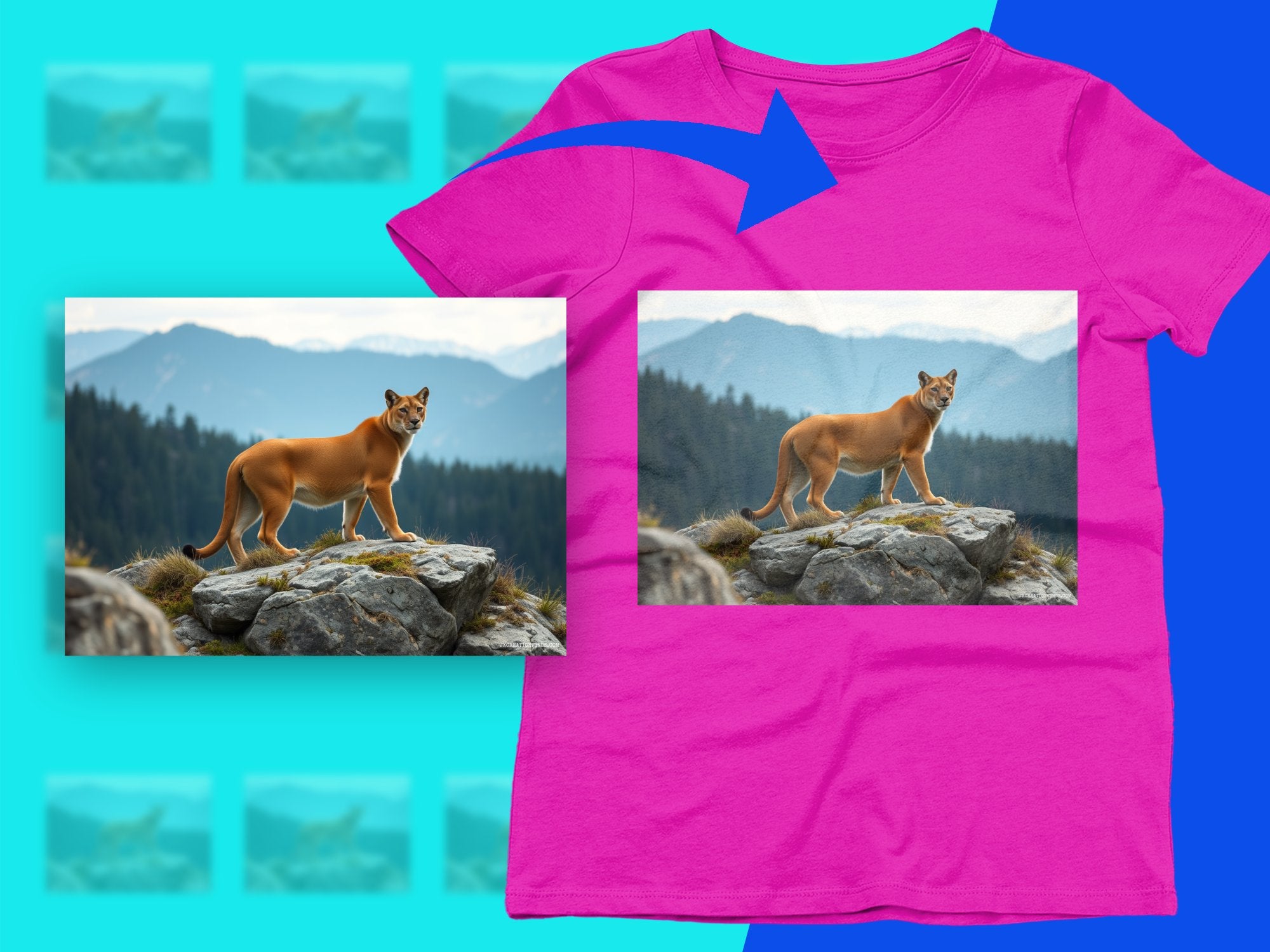 11176164-131c-405f-ab35-7c08abf61c4e