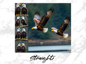 11484d07-a0fc-4050-9a4c-c7ce7a84d766