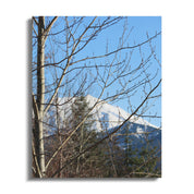 1153b9ba-0fcd-4c42-9f30-e41ad6a4c2f6