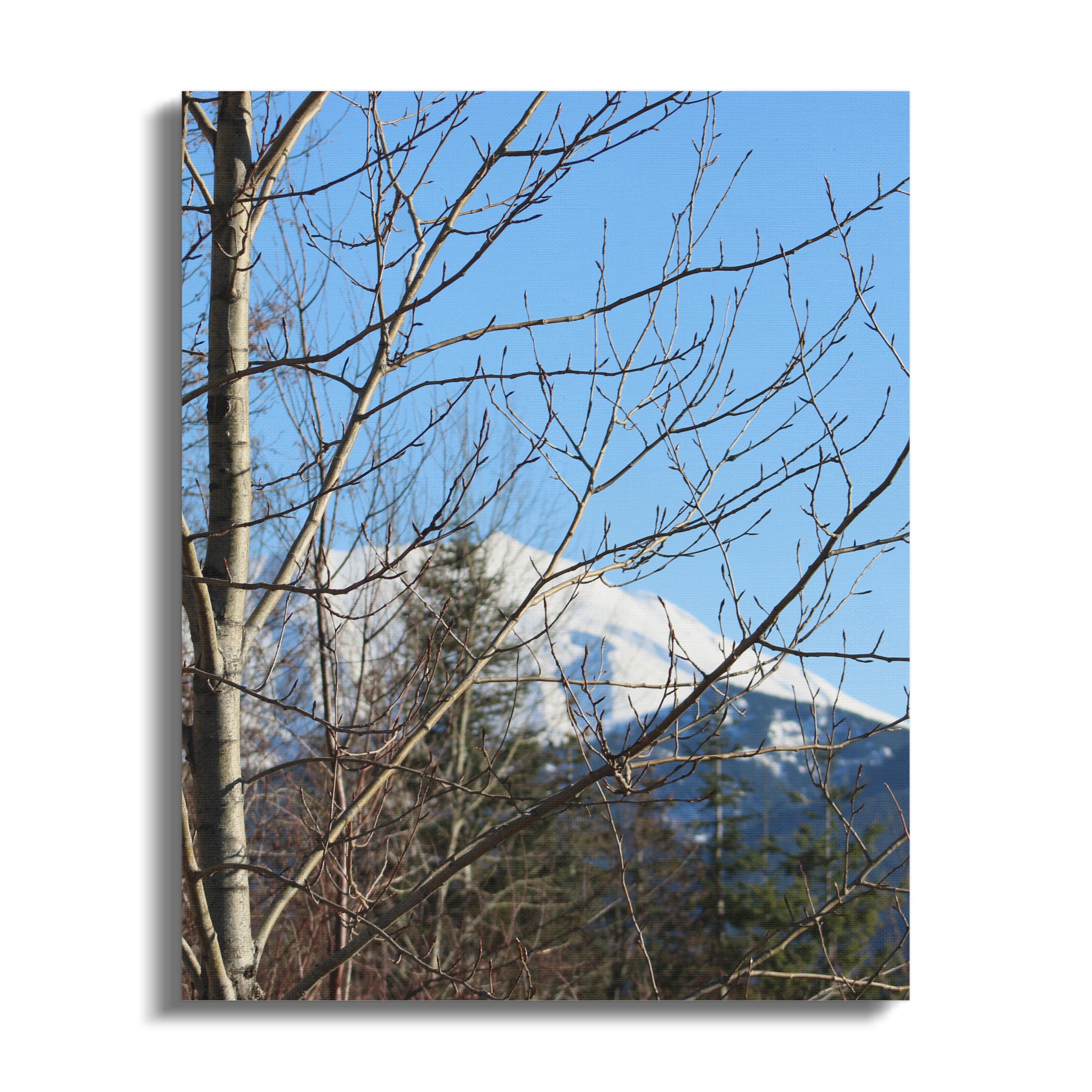 1153b9ba-0fcd-4c42-9f30-e41ad6a4c2f6