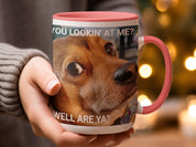 11dabf3e-0f4b-429b-9b3e-e704a45c9a25