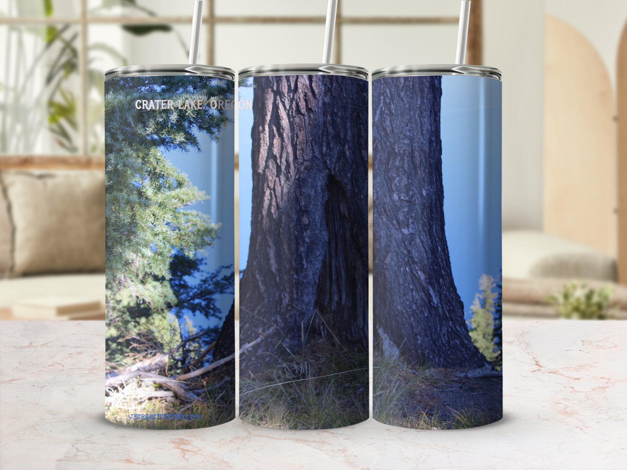 12b17719-c2e1-4d3a-a8fd-387f7a1ce208