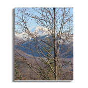 137aef8a-c7b3-4fdb-9a57-969d67eb0add