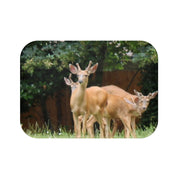 Group of Deer in Calm Forest Setting product