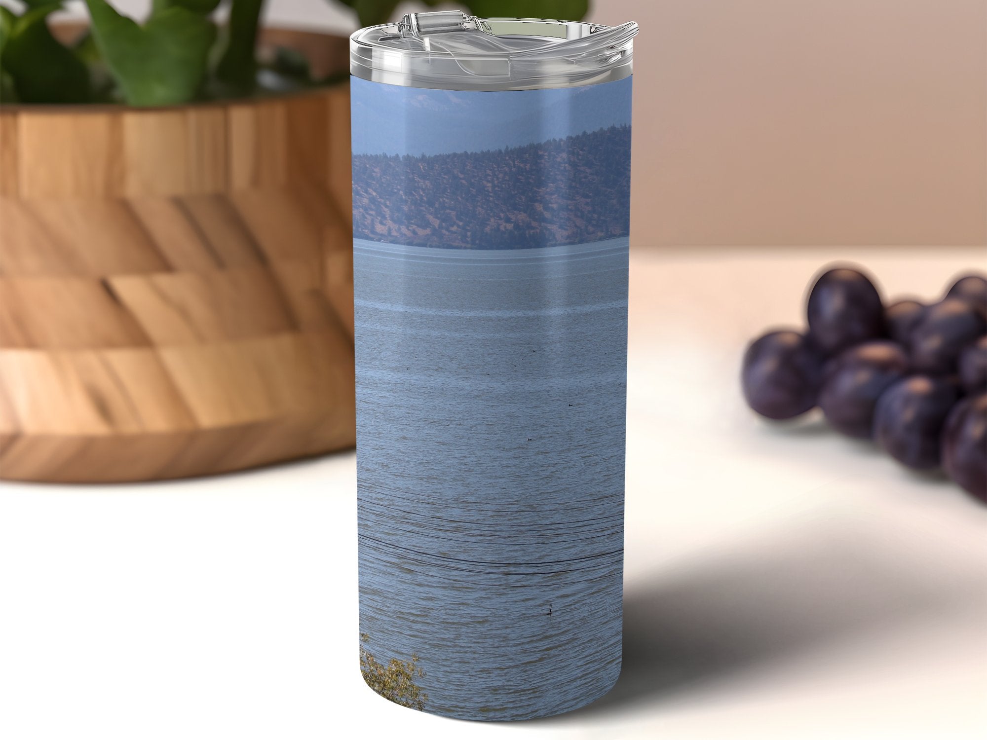 147407a7-68ac-4e29-9c60-6b8ed498f6fe