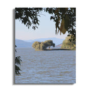 1497d229-e015-4805-8468-f8bb4d7d66df