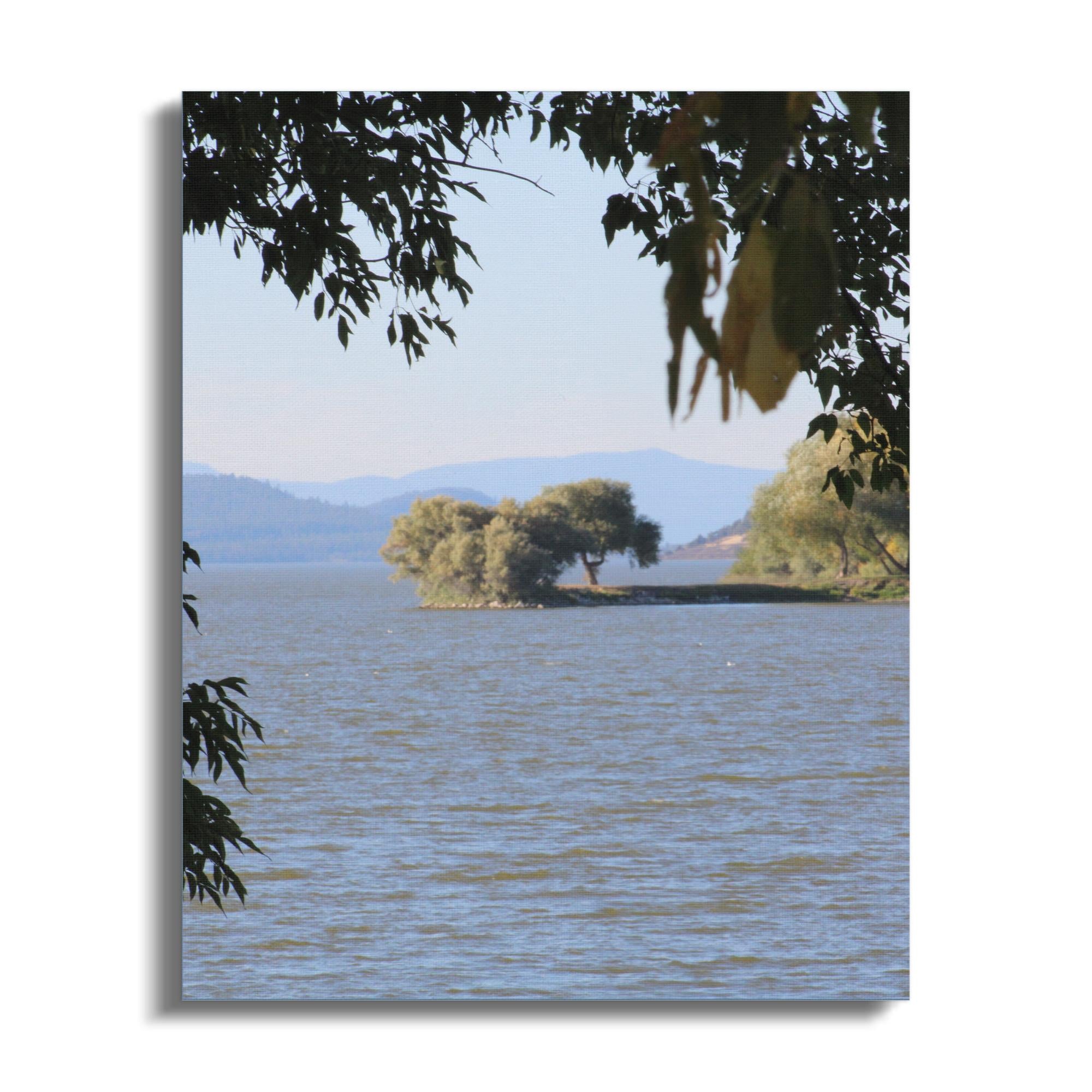 1497d229-e015-4805-8468-f8bb4d7d66df