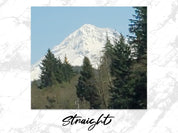 14e35d00-b4d7-44b3-a44e-c14963c142c7