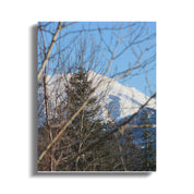 1523cb1f-473e-4a9a-aad0-6d60798639e8