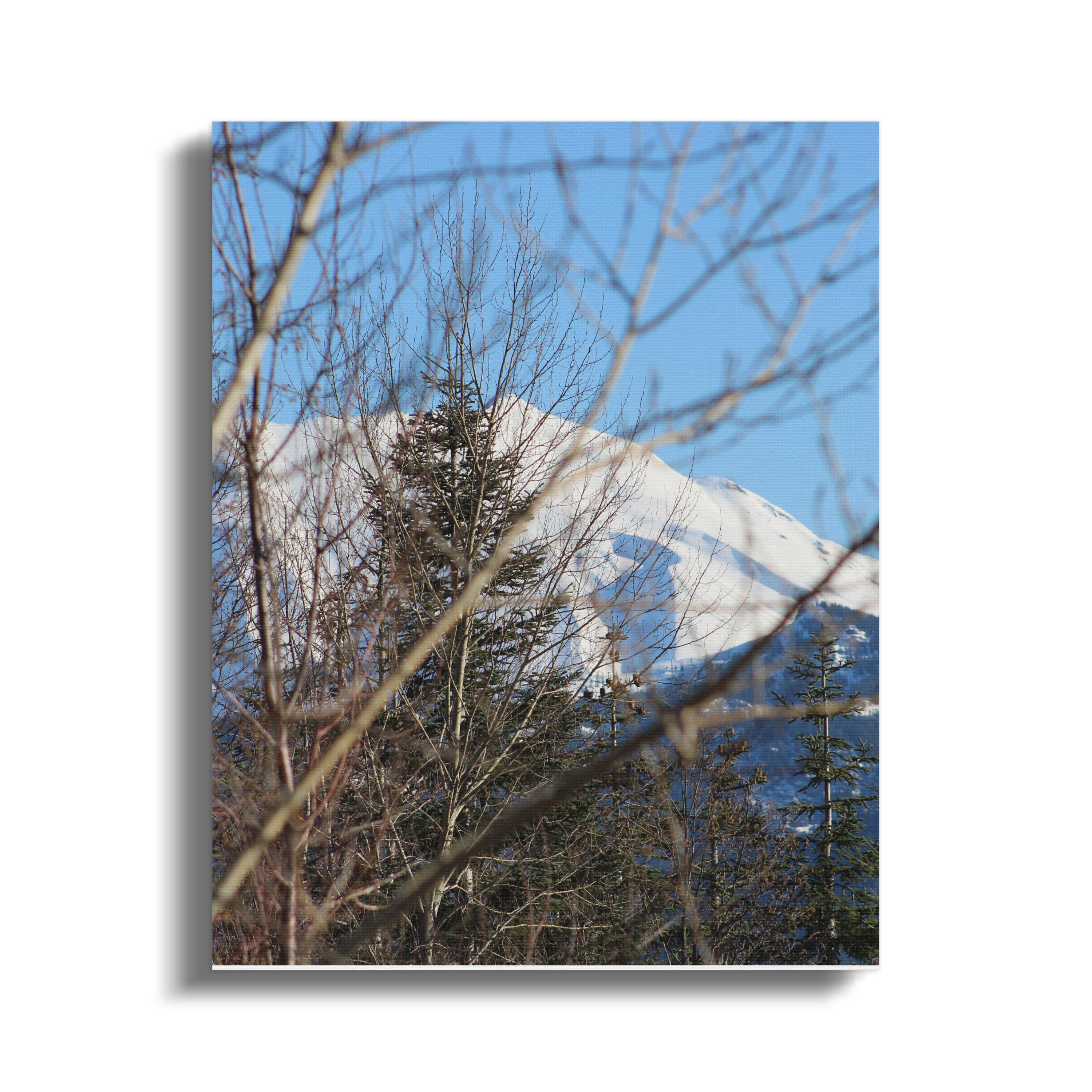 1523cb1f-473e-4a9a-aad0-6d60798639e8