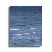The Strait of Juan de Fuca wall art product