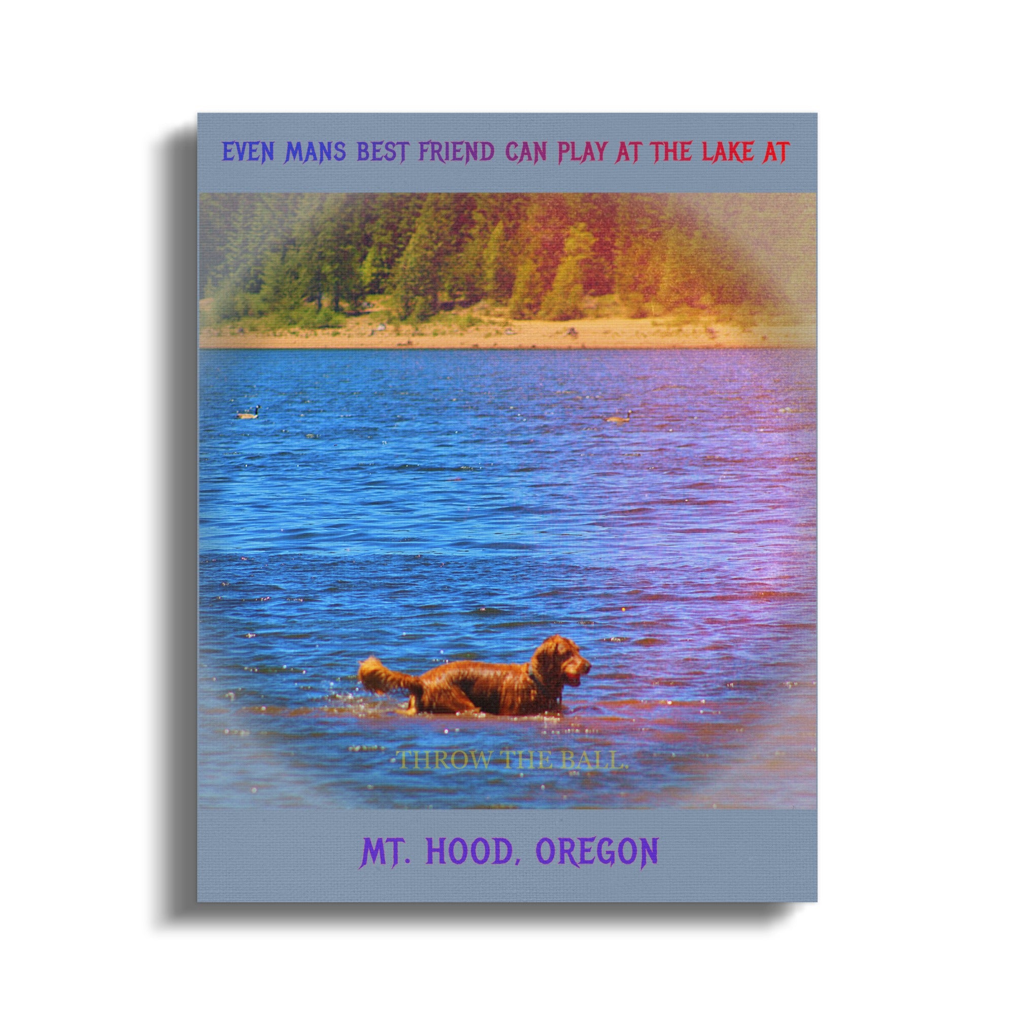 Even Mans Best Friend Can Play At The Lake Art product