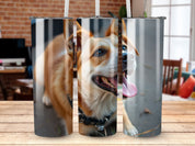 1658498f-e232-49eb-851e-38630c3ec163