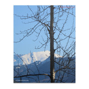 18b289a9-dcd9-4c4a-a333-8fc25a9ddb68