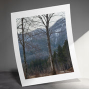 18e10575-588d-48d3-a517-821c4964284b