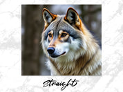 1932728b-2975-41c5-aa42-44472b5179fc