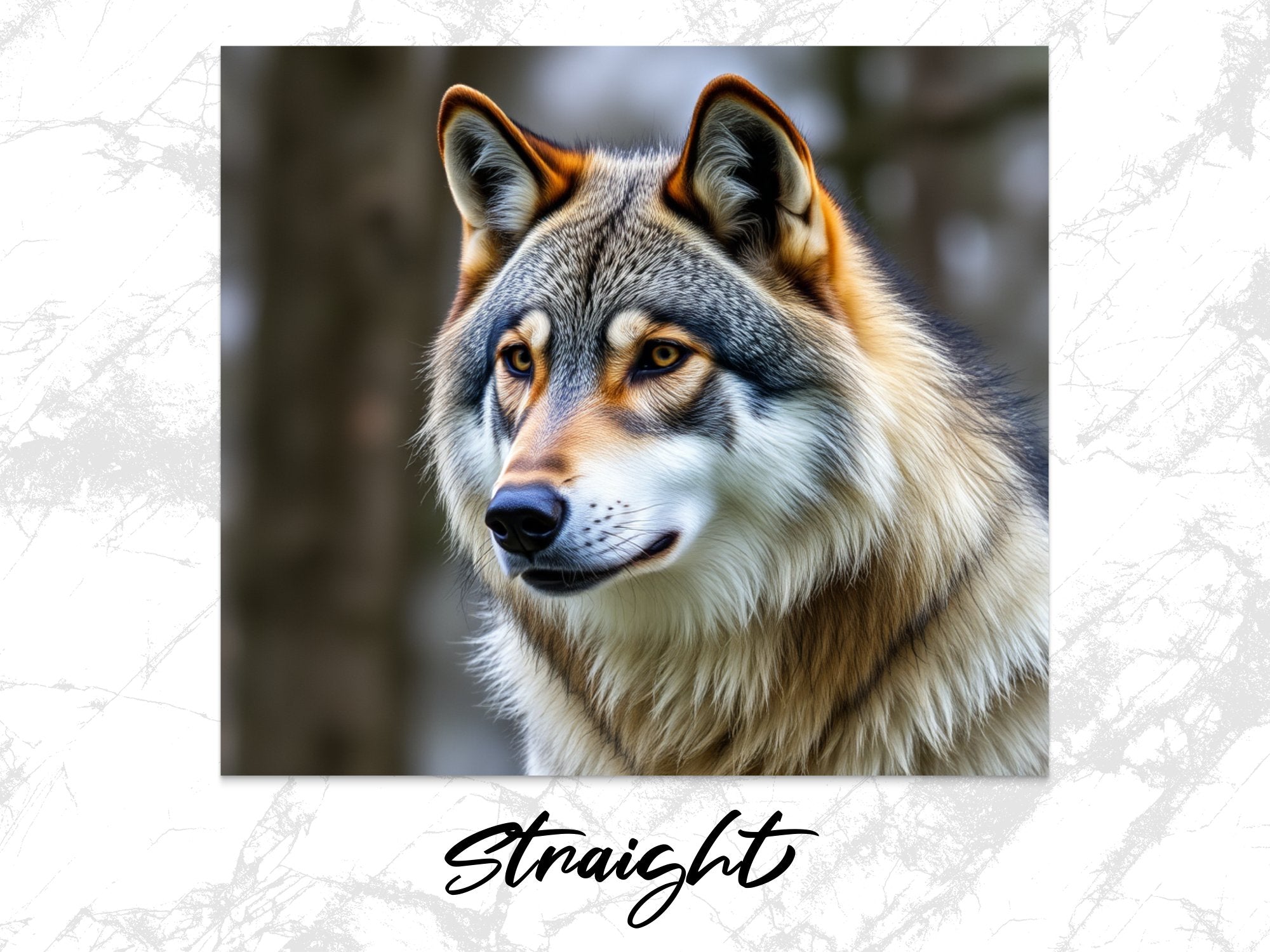 1932728b-2975-41c5-aa42-44472b5179fc