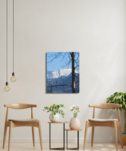 1944344f-5636-48f7-8da3-b811cd7a88ad