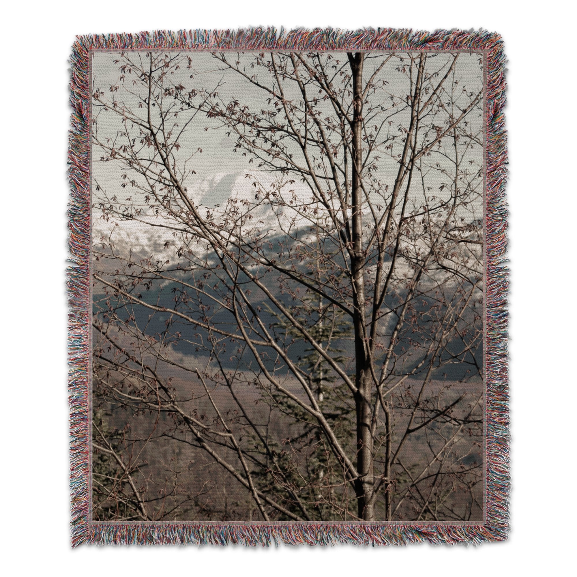 1979899b-6930-47bb-b668-bf78fc6141a8