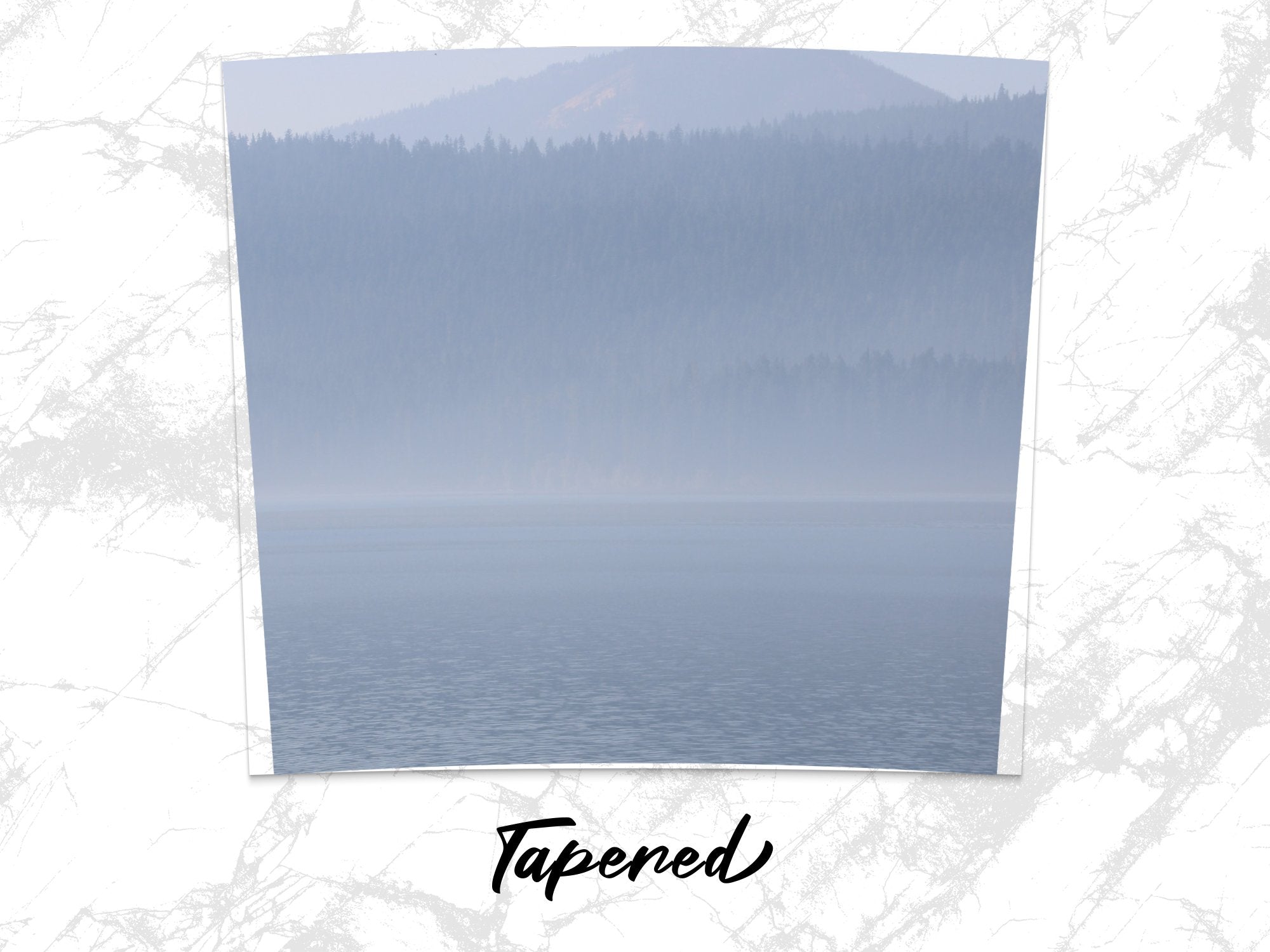 19e8eb36-7723-409c-ac57-4b8712570844