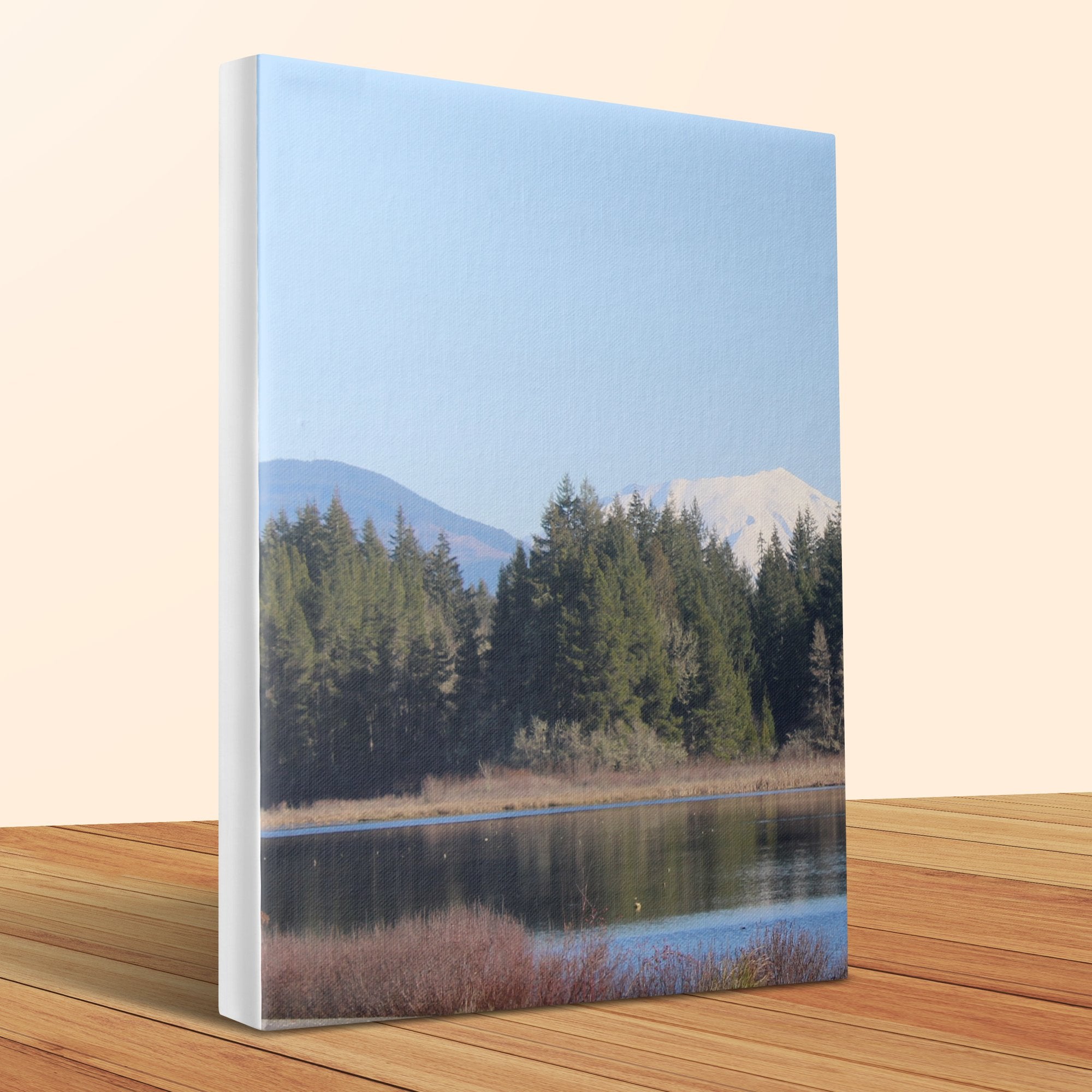 1a13d8c2-5e07-4eb3-9f08-8567b7f1a520