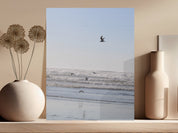 1abd8e3a-adfb-4d45-95f8-f8bb0e486419