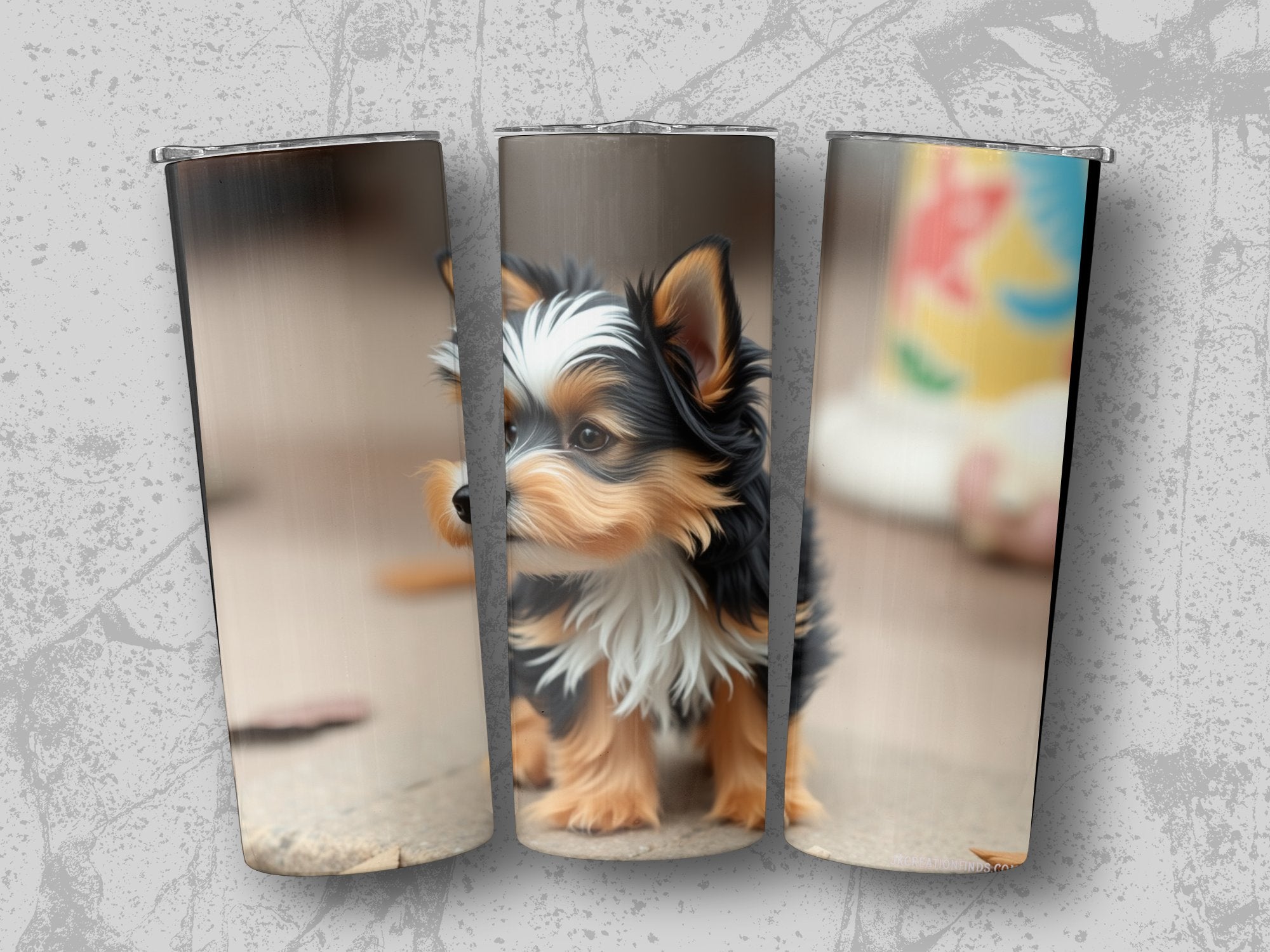 1b194329-f7fb-4a99-923c-099596e70523