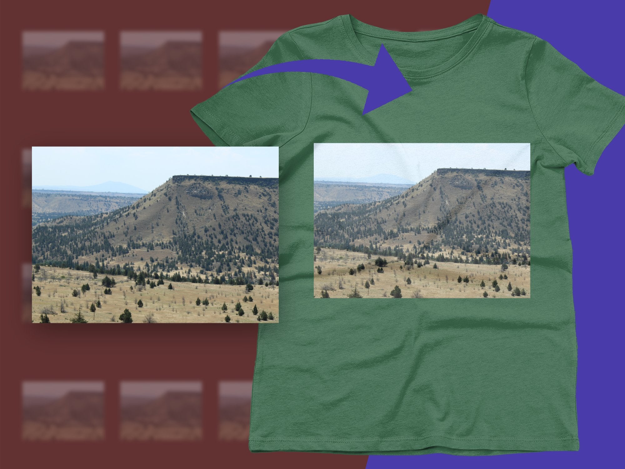 1b2ebfba-3609-4488-ac93-ebb131425a2f