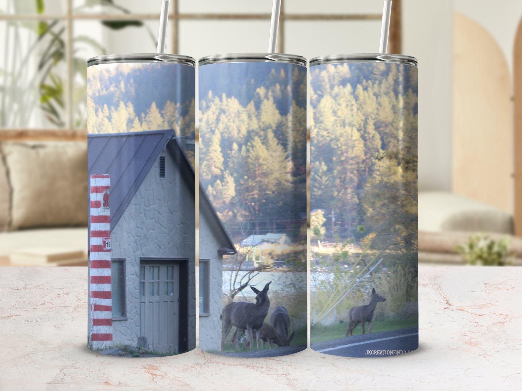 1b7164fd-4d57-4881-84dc-be864f4cb66a