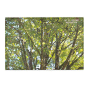 Mt. St. Helens Washington Tree Landscape product