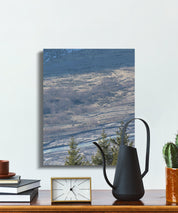 1bd4bed1-15c3-4472-add4-54c18ec6db6e