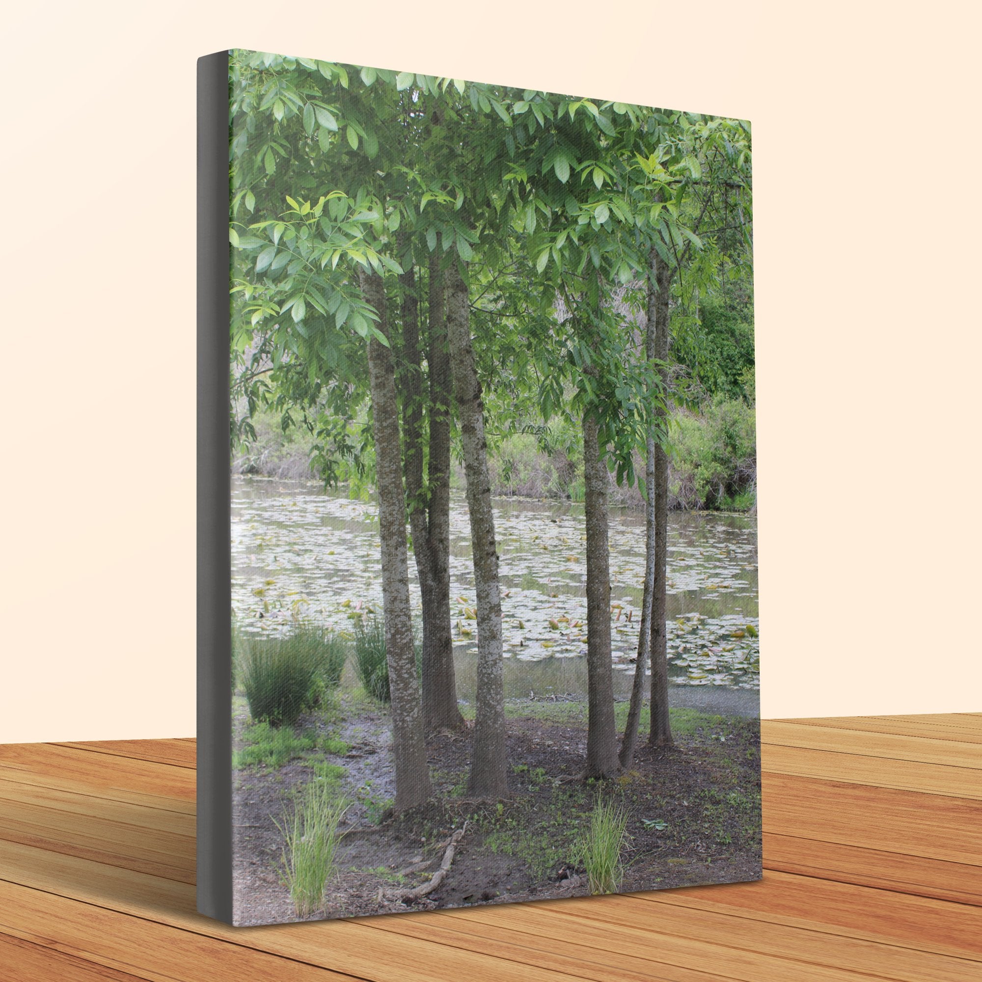 Peaceful Woodland Scene on Sturdy Canvas product
