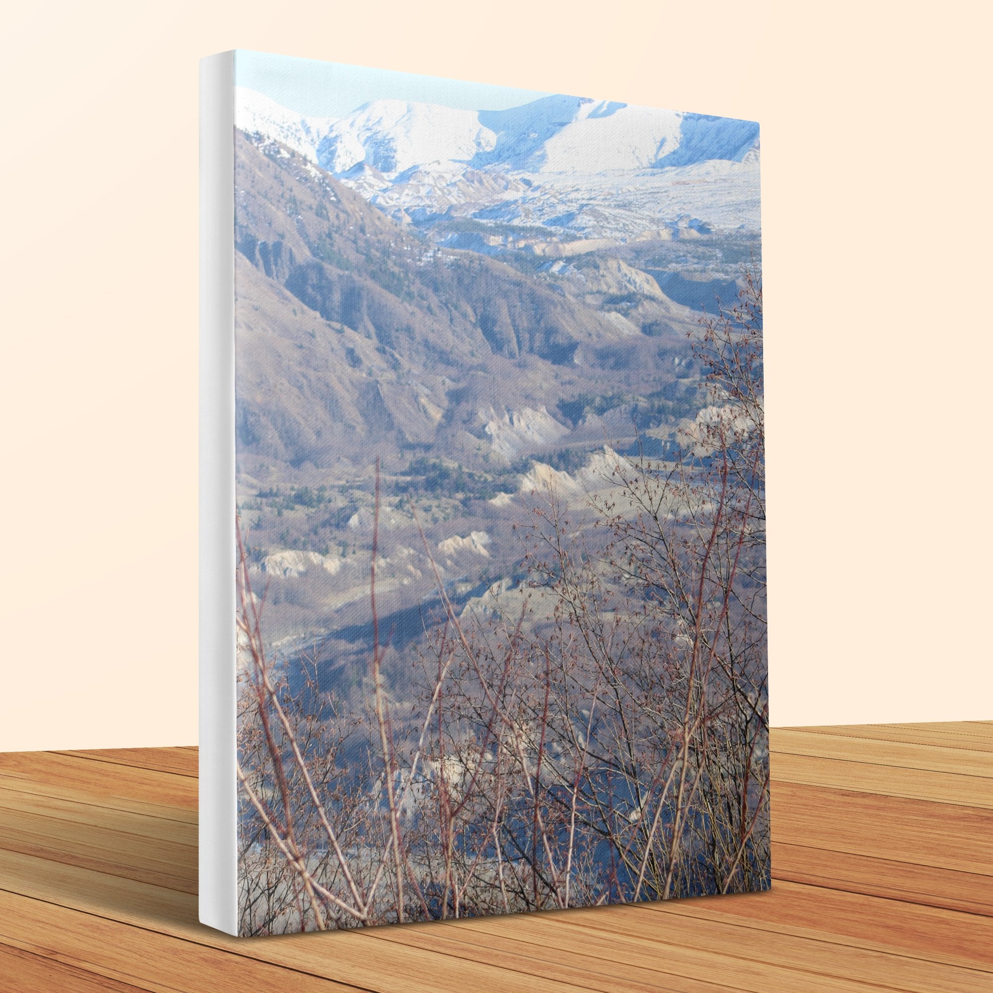 1bf9ece6-2f58-43ed-9c95-ba9e4e96d0a8