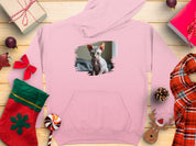 1c1d8717-dd57-4e94-afd2-acccb5bc5f6f