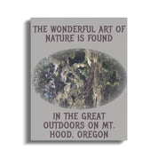 The Wonderful Art of Nature Mt Hood Oregon product