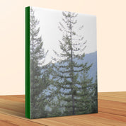 1cba1305-31dc-464a-985f-57f902d39080