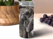 1d049cc9-b50c-47e0-a128-966dba1fbcf1