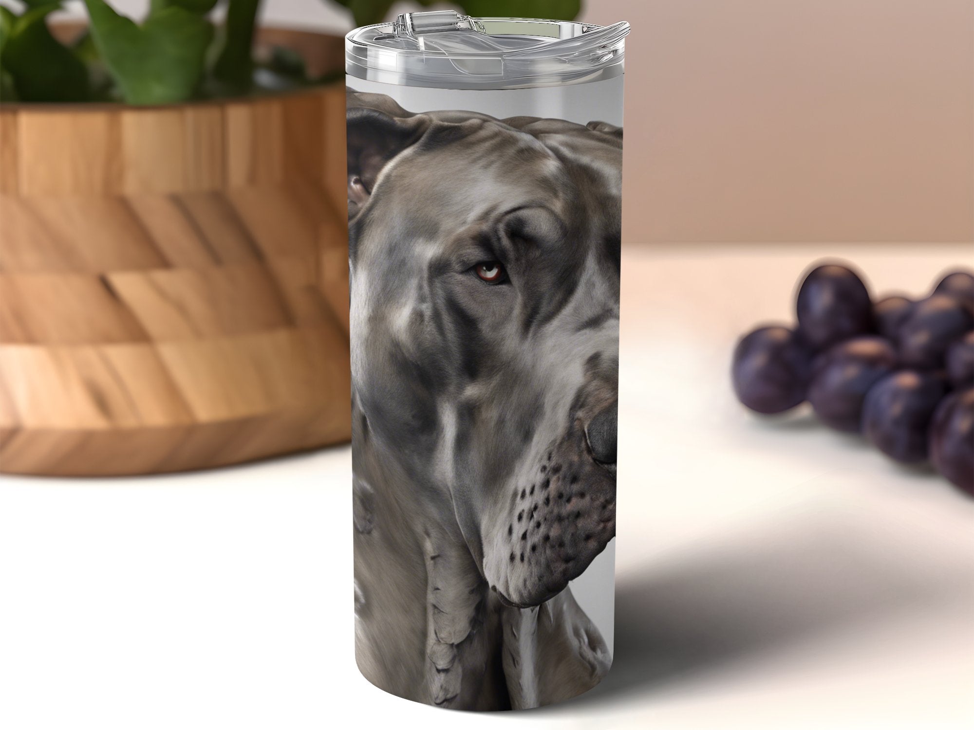 1d049cc9-b50c-47e0-a128-966dba1fbcf1