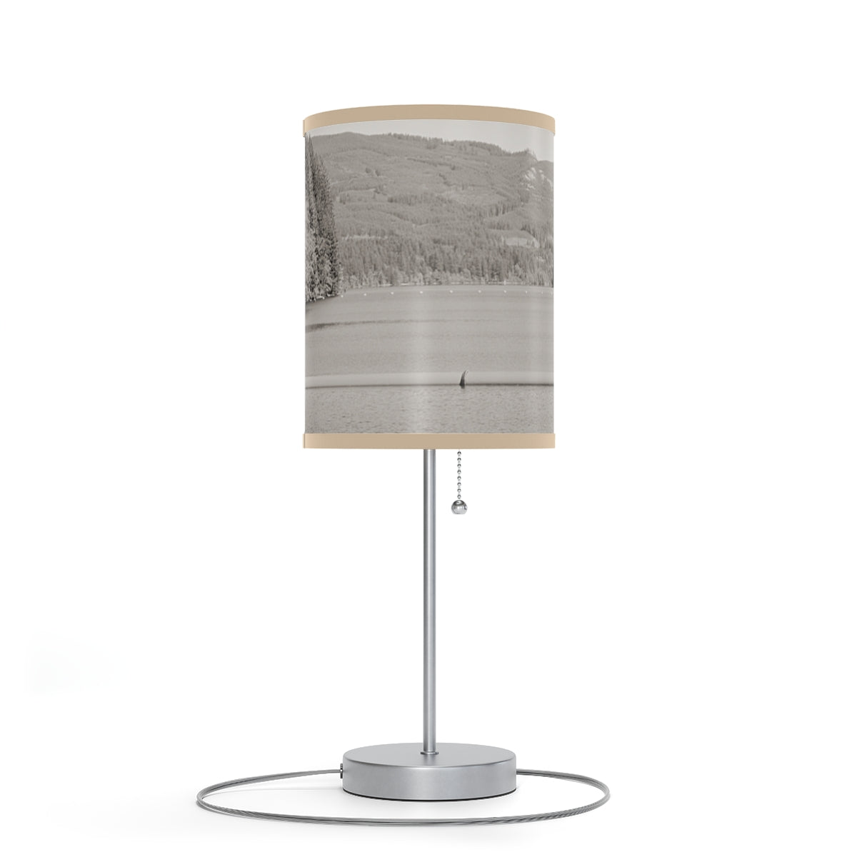 Unique Modern Style Decorative Desk Lamp