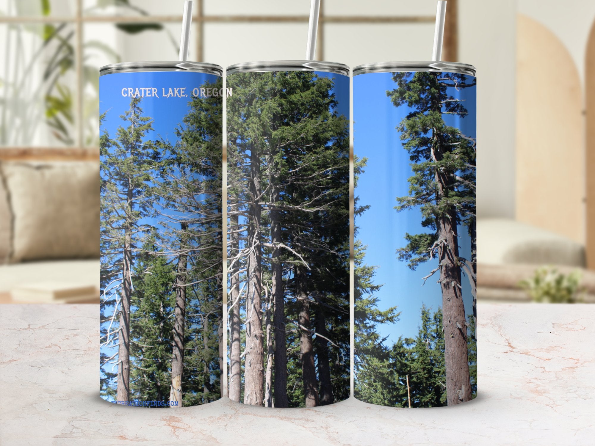 1f143a8e-1c2b-46bc-b49f-a5d97fbbf641