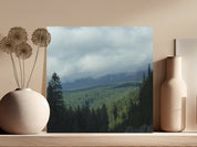 1f14827e-ce30-4e31-8135-5c93e5b66ff9