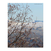 1f172258-c222-45a3-931e-92fd38190123