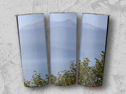 21755b58-3954-417b-819e-cb3e3fdabd97