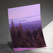 2240f05b-fa5c-41ad-a55e-0b7944986f95